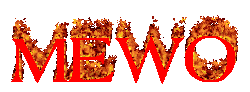 MEWO in flames